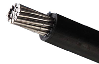 架空马博注册大厅