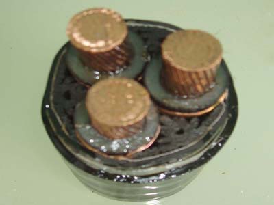 交联电力马博注册大厅