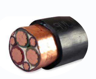 变频器专用电力马博注册大厅